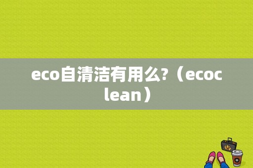 eco自清洁有用么?（ecoclean）