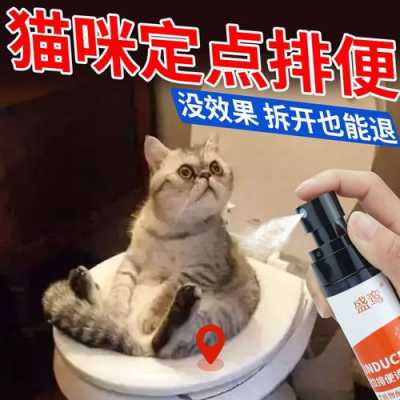 猫便便诱导剂有用么（猫排便诱导剂有用吗）