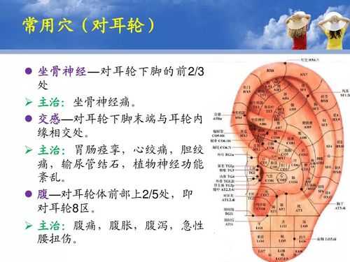 包含耳穴是否有用的词条