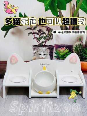 猫餐桌有用吗（猫咪餐具）