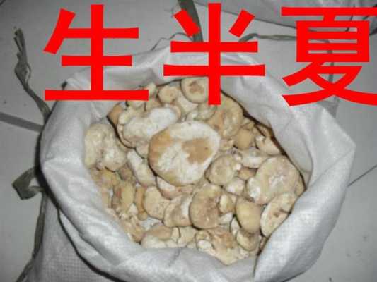 生半夏没有用哪个替代（生半夏可以用什么替代）