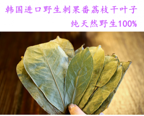 刺果番荔枝叶子有用吗（刺果番荔枝干叶子功效）