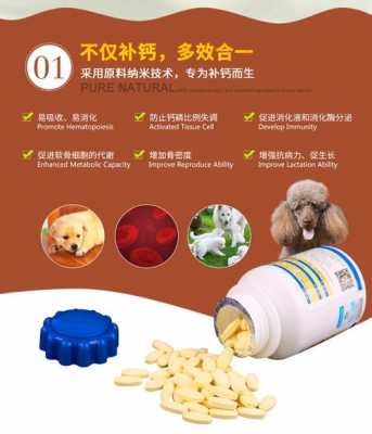 犬吃钙片有用吗（狗吃钙片有用吗）