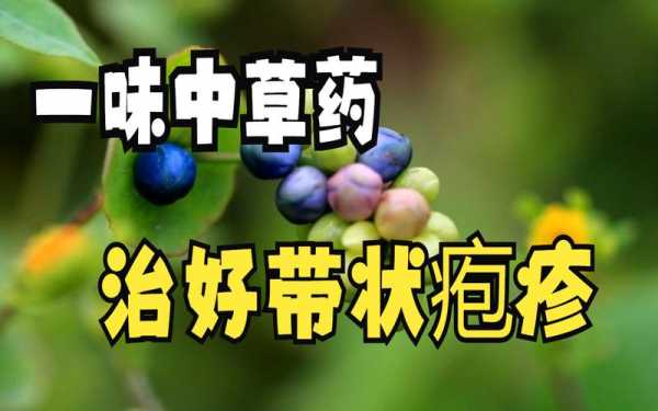 疱疹吃草药治疗有用吗（疱疹吃中药有用吗）