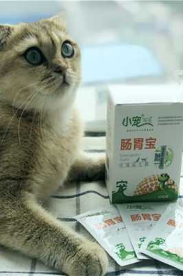 猫咪口臭吃肠胃宝有用么（猫肠胃炎口臭）