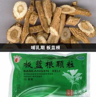 肺结核喝板蓝根有用吗（吃结核药期间能吃板蓝根吗）