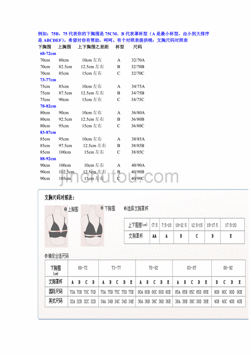 澳洲ypl文胸有用吗（澳洲胸罩尺码对照）