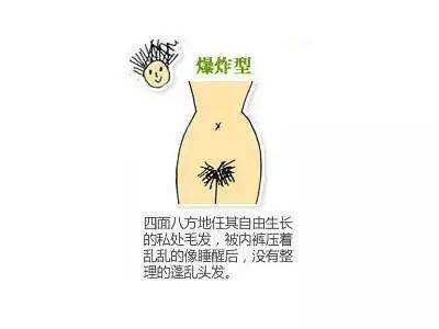 包含女性阴毛有用么的词条