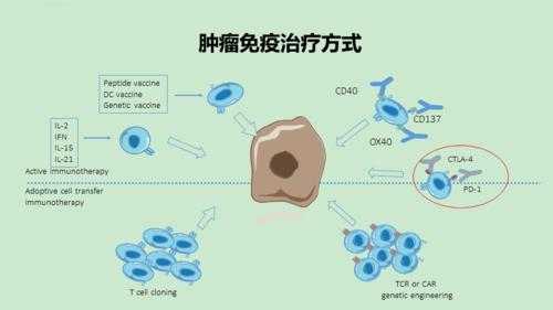 免疫疗法对几期肺腺癌有用（免疫治疗对肺腺癌有效率高么）