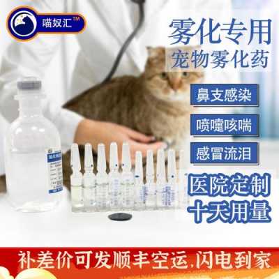 猫咪雾化有用吗（猫咪雾化治疗多少钱）