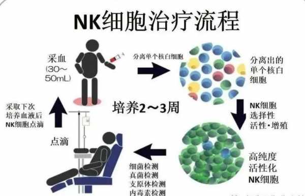 nk高吃什么有用呢（nk细胞高要吃什么药）