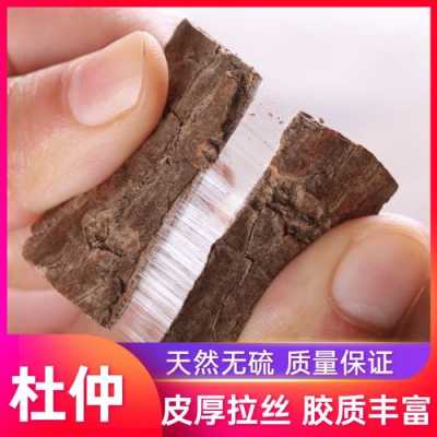 杜仲皮有用没（杜仲皮药用）