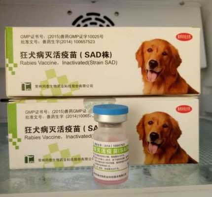 犬脑炎疫苗打了有用吗（犬用脑炎疫苗用哪种牌子的好）