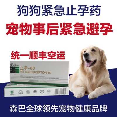 紧急避孕药对狗有用吗（狗吃紧急避孕药好使吗）