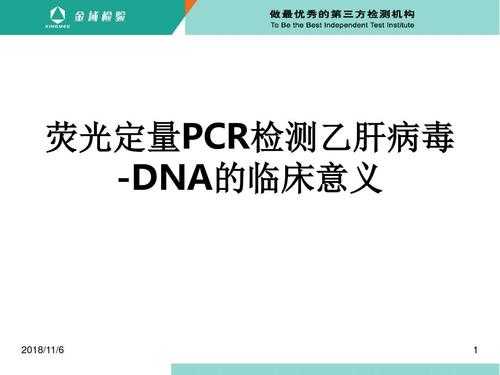 乙肝荧光定量检测有用吗（乙肝荧光定量pcr是检查什么）