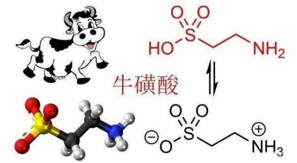 牛磺酸对感冒有用吗（牛磺酸预防感冒）