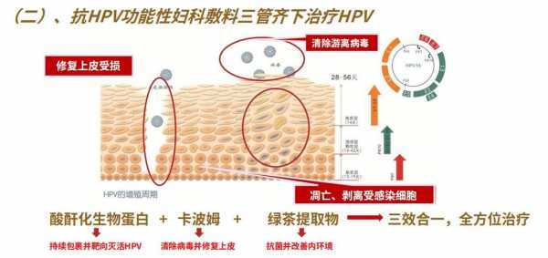 HPv做火疗有用吗（hpv热疗）