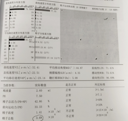 性功能检查有用吗（性功能检查大概多少费用）