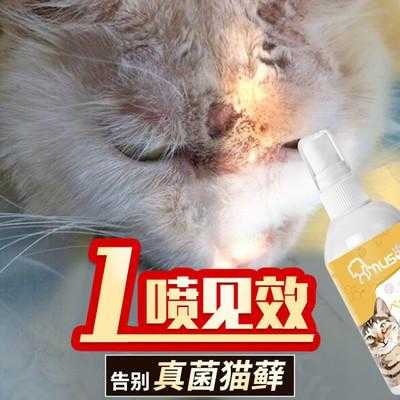 妇炎洁对猫癣有用吗（妇炎洁治猫藓,是昏招还是灵药?）