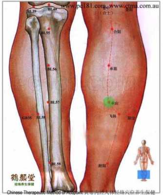 腿疼推经络有用吗（腿疼的按摩手法）