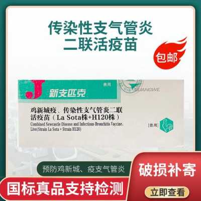 气管炎疫苗有用吗（气管炎疫苗有用吗多少钱）