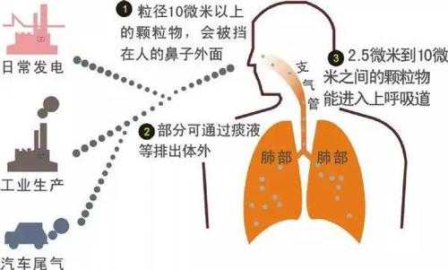 粉尘吸多了喝水有用吗（粉尘吸入太多会得什么病）