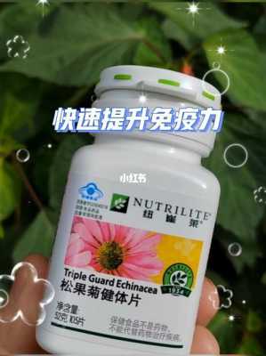 安利松果菊有用吗（安利产品松果菊作用什么）