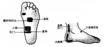 痔疮按摩肛门有用吗（痔疮按摩可以减小吗）