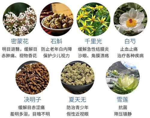 中药对治疗近视有用吗（喝中药治近视有用吗）