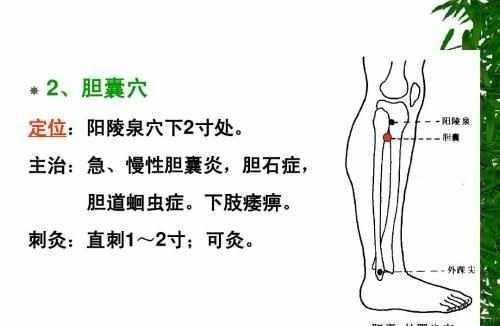 针灸对胆囊有用吗（针灸对胆囊有用吗女性）