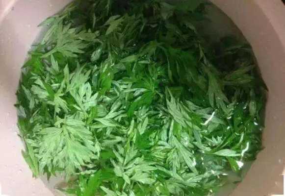 经常用艾草熬水洗外阴有用的简单介绍