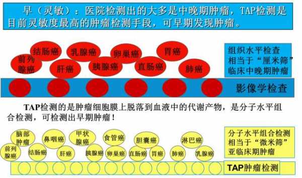 tap筛查有用吗（tap筛查价格）