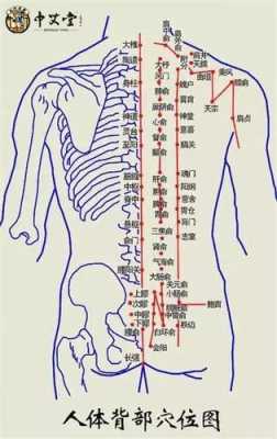 后背凉日炙有用吗（背凉艾灸的准确位置图）