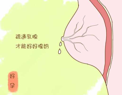 奶少乳腺理疗有用吗（奶水少做乳腺疏通会变多吗）