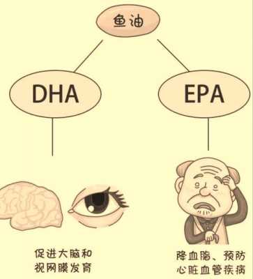 epa对成人有用吗（epa对人体有什么作用）