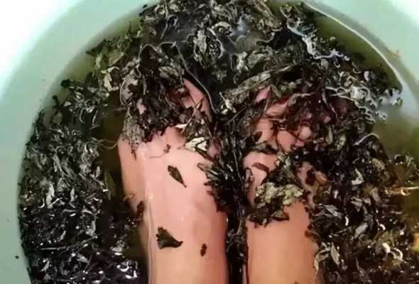 感冒用艾蒿水泡脚有用吗（感冒能用艾蒿水泡脚吗）