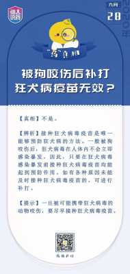 补打狂犬瘟疫有用吗（补打狂犬病疫苗）