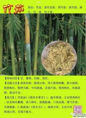 竹茹孕吐有用吗（竹茹能治疗妊娠剧吐吗）