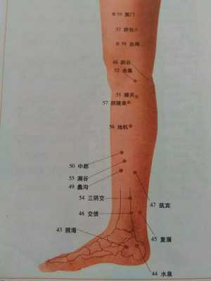 腿部经络按摩有用吗（腿部经络按摩图片大全图片）