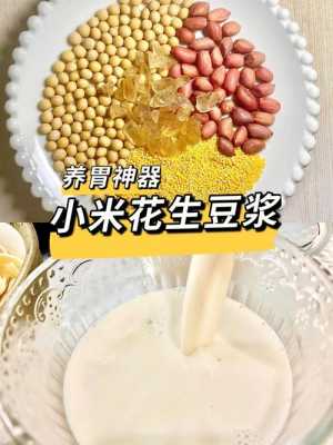 有用小米做豆浆吗（小米豆浆的做法与配料窍门）