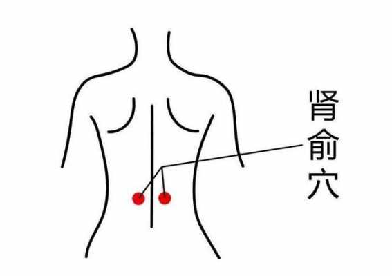 肾虚按摩腹部有用吗（肾虚如何按摩调理）