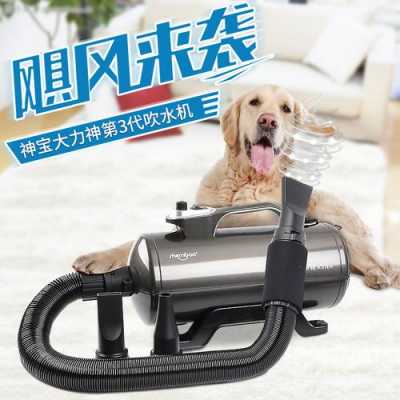 狗吹水机有用吗（狗狗吹水机好还是吹风机好）