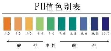 调身体酸碱度有用吗（调理体内酸碱度）