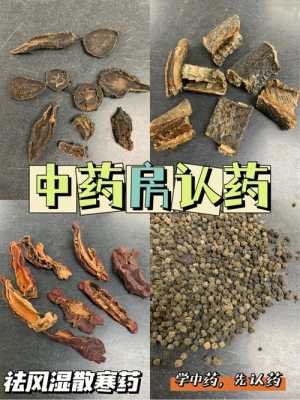 草乌有用吗（草乌治什么）