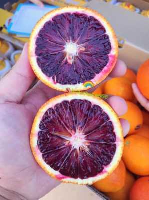 澳洲血橙有用吗（澳洲血橙好吃吗）