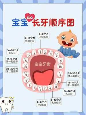 宝宝乳牙如何保存才有用（宝宝的乳牙是要保存还是丢了）