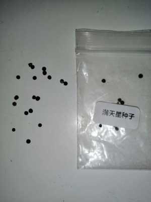 怎样找有用的种子（怎么找种子更容易）