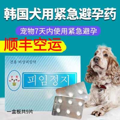 狗吃事后避孕药有用吗（狗狗吃完避孕药有什么反应）