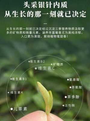 百合茶氨酸真的有用吗（百合茶氨酸效果怎么样）