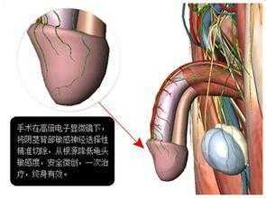 神经阻断有用吗（神经阻断作用）